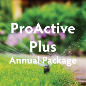 ProActive Plus Annual Package